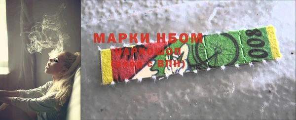 молекула духа Богданович