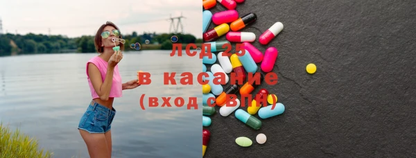 молекула духа Богданович