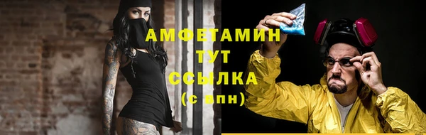 дживик Богородск