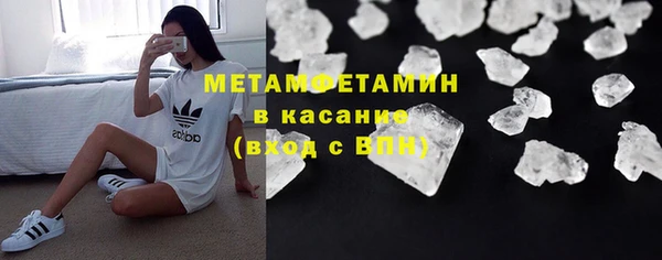 молекула духа Богданович