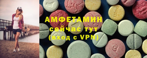 дживик Богородск