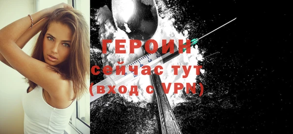 молекула духа Богданович