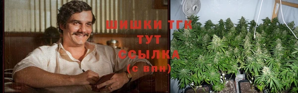 дживик Богородск